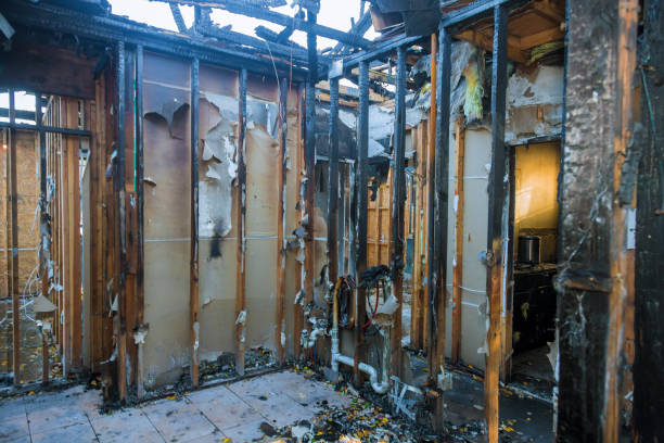 Professional Soot Cleanup technician working in Payne, OH